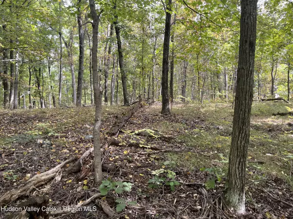 Milan, NY 12571,1154 Cold Spring RD