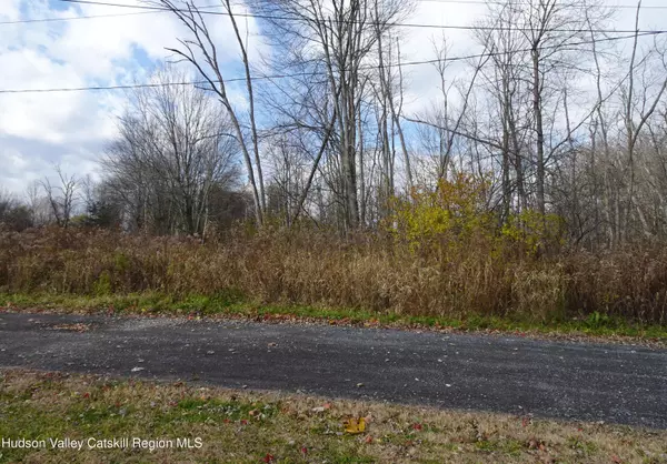 Hudson, NY 12534,0 Willmon RD