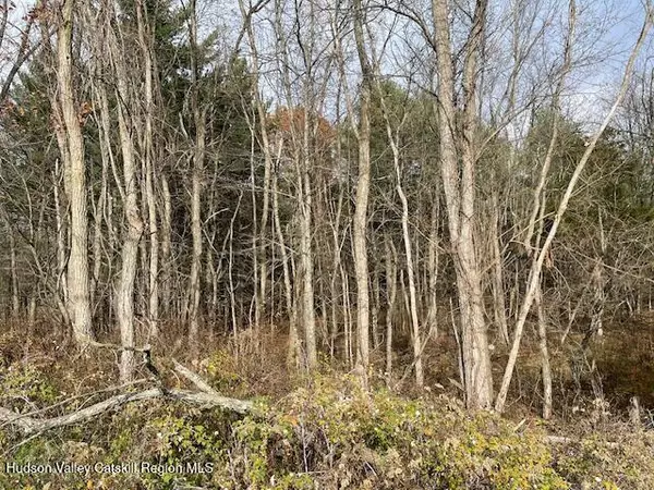 Greenville, NY 12083,00 Schoharie TPKE