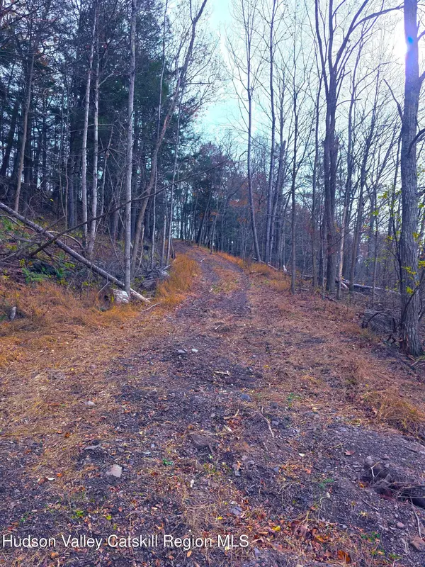 Cairo, NY 12413,0 County Route 41