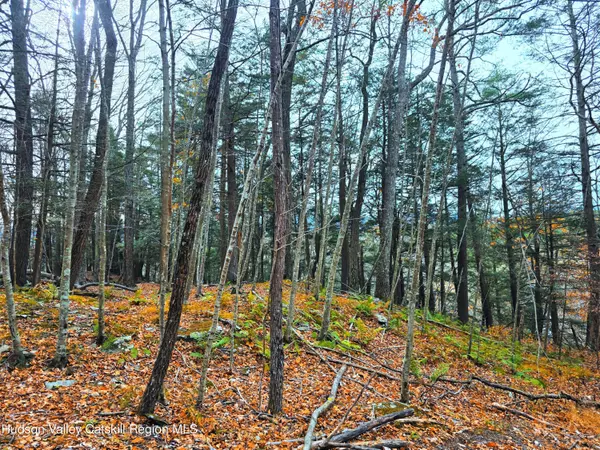 Cairo, NY 12413,0 County Route 41