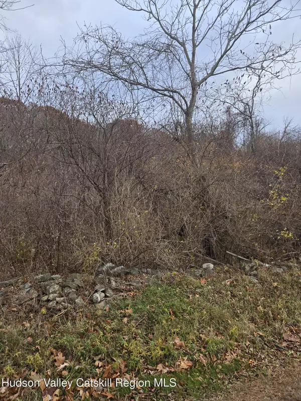 Copake, NY 12516,0 Farm RD