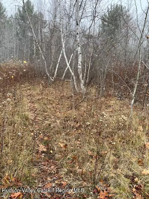 Tbd Goshen ST, Jewett, NY 12444