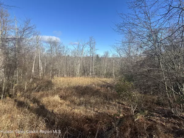 Ellenville, NY 12428,Tbd Oak Ridge RD