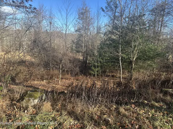 Ellenville, NY 12428,Tbd Oak Ridge RD