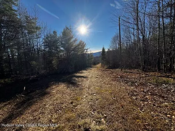 Prattsville, NY 12468,0 Bruce Cross RD