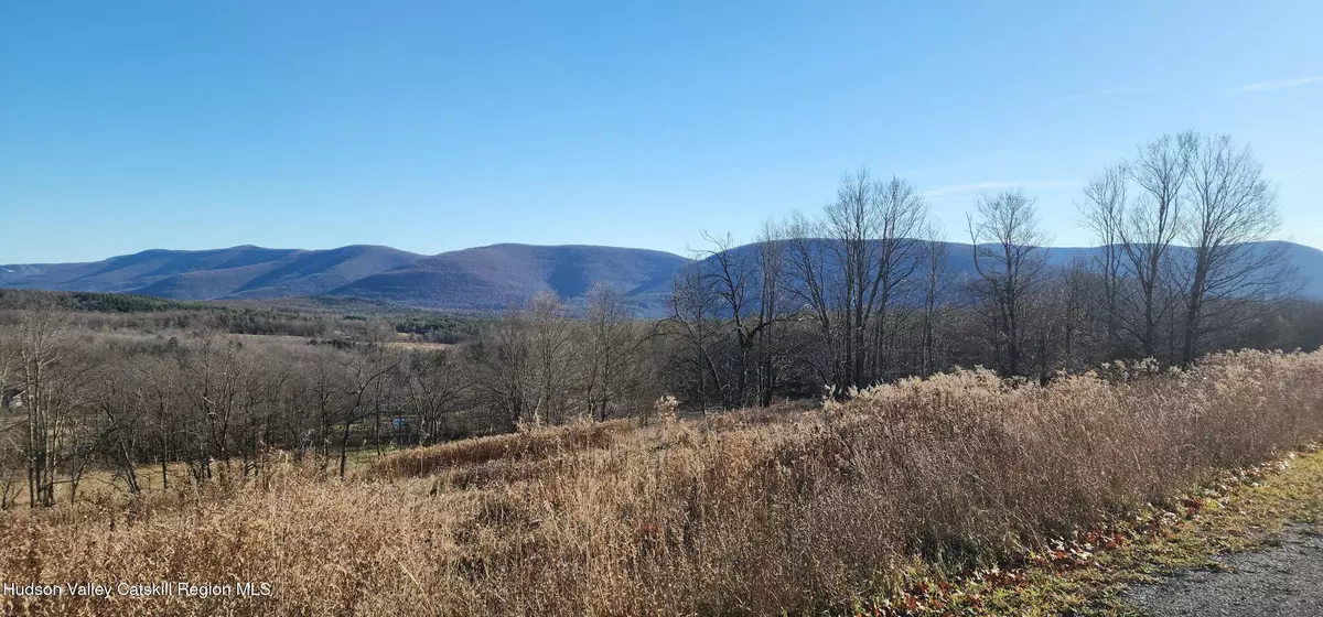 Prattsville, NY 12468,0 Bruce Cross RD