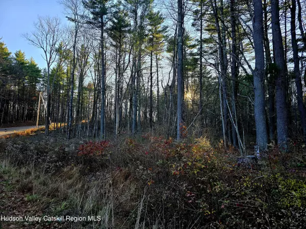 New Baltimore, NY 12124,Lot 10 Co Rd 51