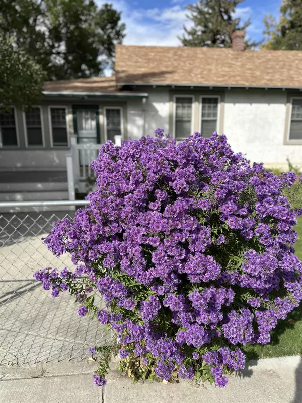 Powell, WY 82435,106 N Douglas St