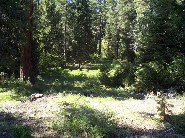 Shaver Lake, CA 93664,41609 Timber Ridge Lane