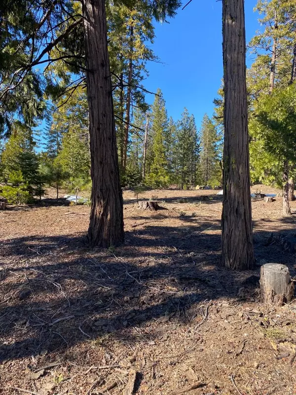 Shaver Lake, CA 93664,40703 Sierra Violet Lane