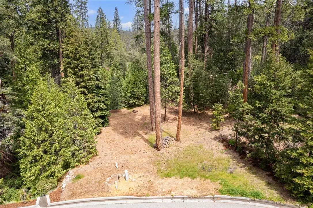 Bass Lake, CA 93604,51 Dogwood Creek Drive