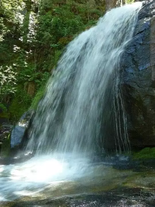 Shaver Lake, CA 93664,52305 Camp Sierra Road