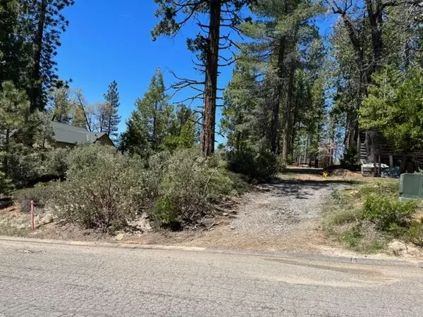 Shaver Lake, CA 93664,40123 Mariposa Lilly