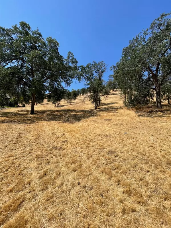 Friant, CA 93626,27 Fairway Oaks Lane