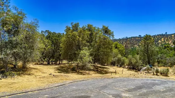 Coarsegold, CA 93614,0 Colt Court