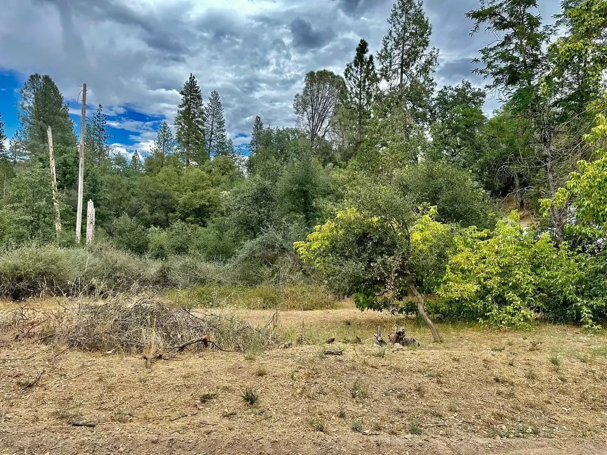 Oakhurst, CA 93644,0 Rusty Lane