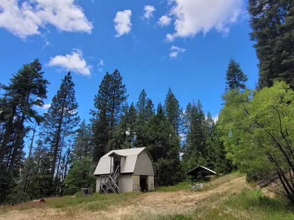 Shaver Lake, CA 93664,53700 Providence Creek Road