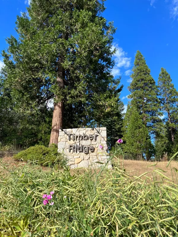 Shaver Lake, CA 93664,41868 Timber Ridge Lane