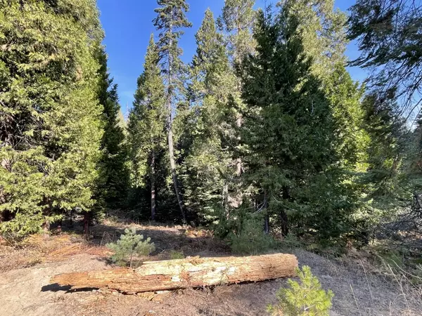 Shaver Lake, CA 93664,22 Cook Cabin Lane