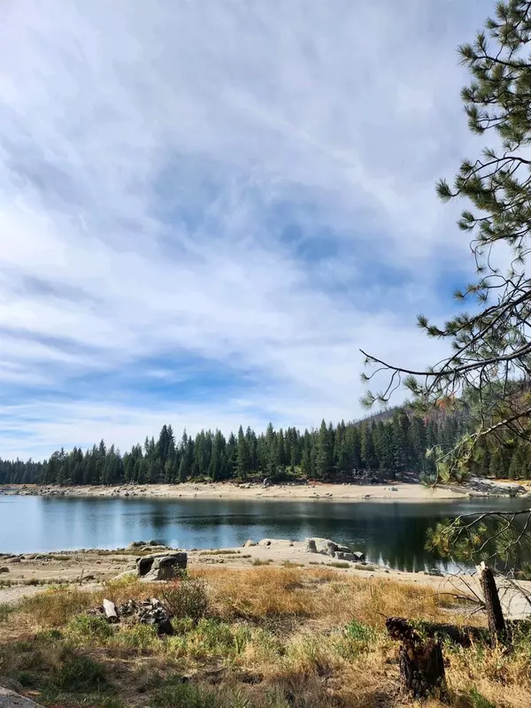 Shaver Lake, CA 93664,44367 Lakeview Drive