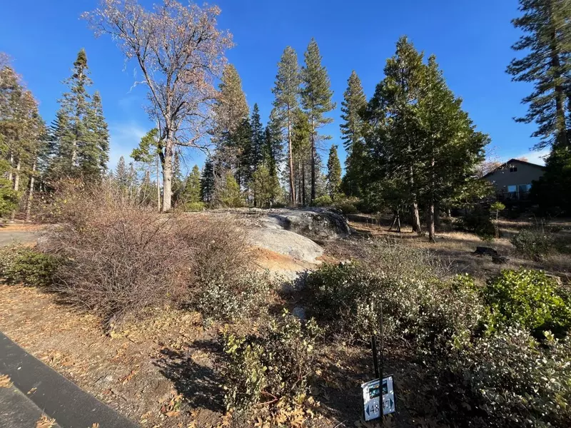 39621 Sunset Rock Lane  #48, Shaver Lake, CA 93664