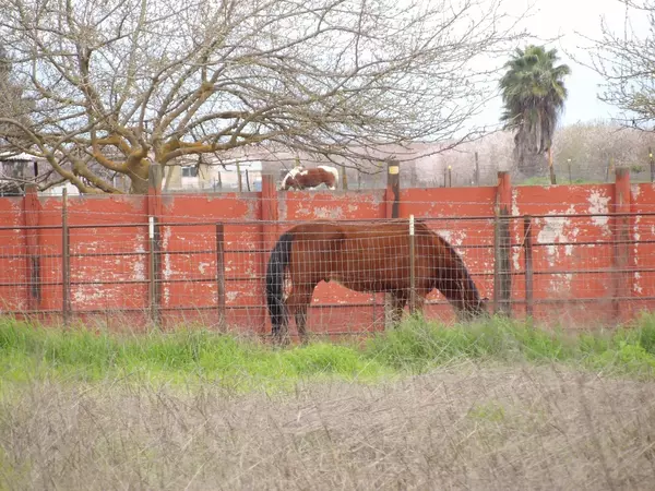 Chowchilla, CA 93610,0 Hickory