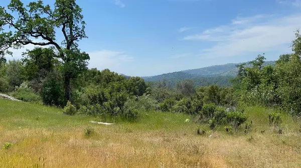 Mariposa, CA 95338,4256 Burl Dr