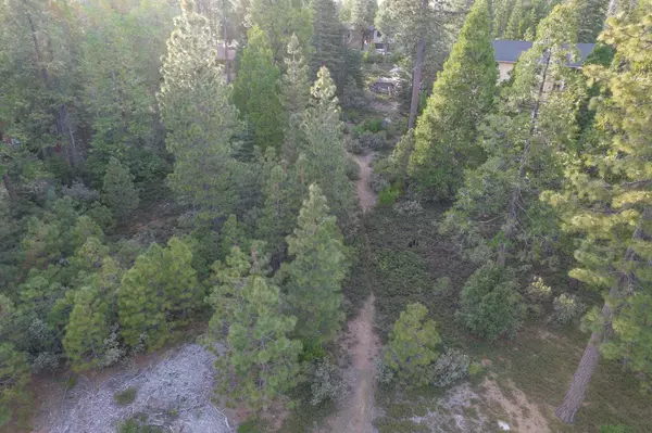 Shaver Lake, CA 93664,0 Leopard Lilly Ln