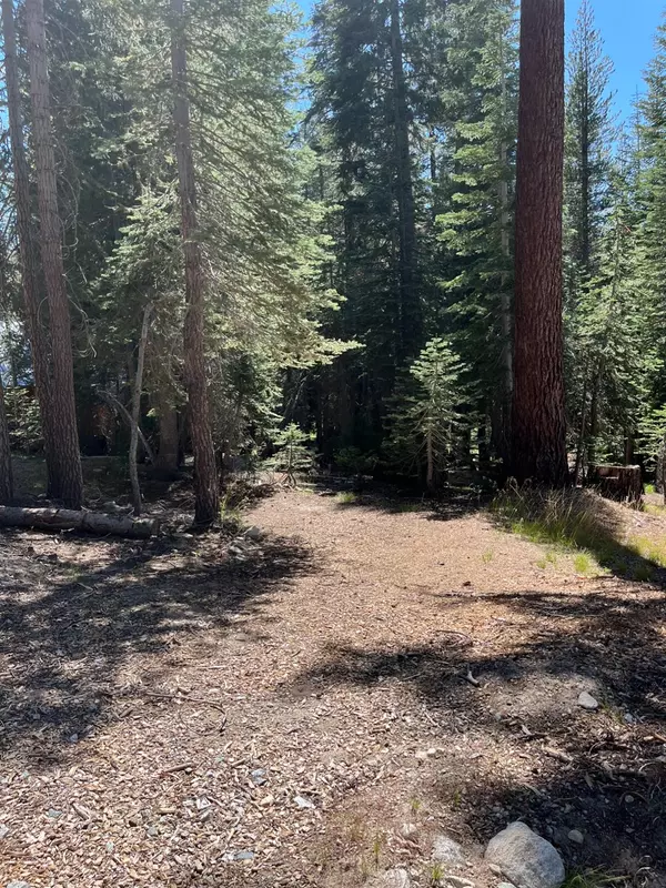 Shaver Lake, CA 93664,46 Courtright Way