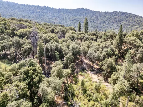 Mariposa, CA 95338,5 AC Parker Drive