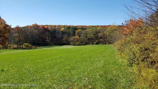 118 Tubbs Hill Road Lot 1, Benton, PA 17814