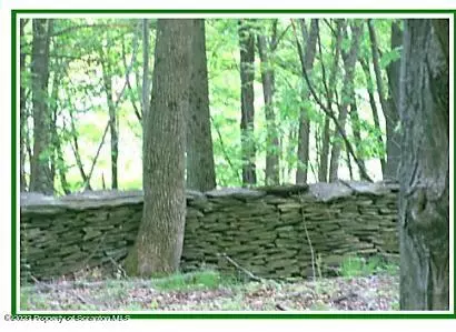 North Abington Twp, PA 18414,305 Benton RD