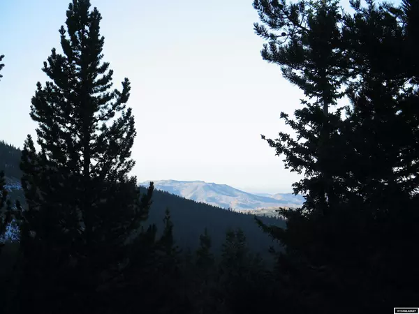 Encampment, WY 82325,Acreage WY 70