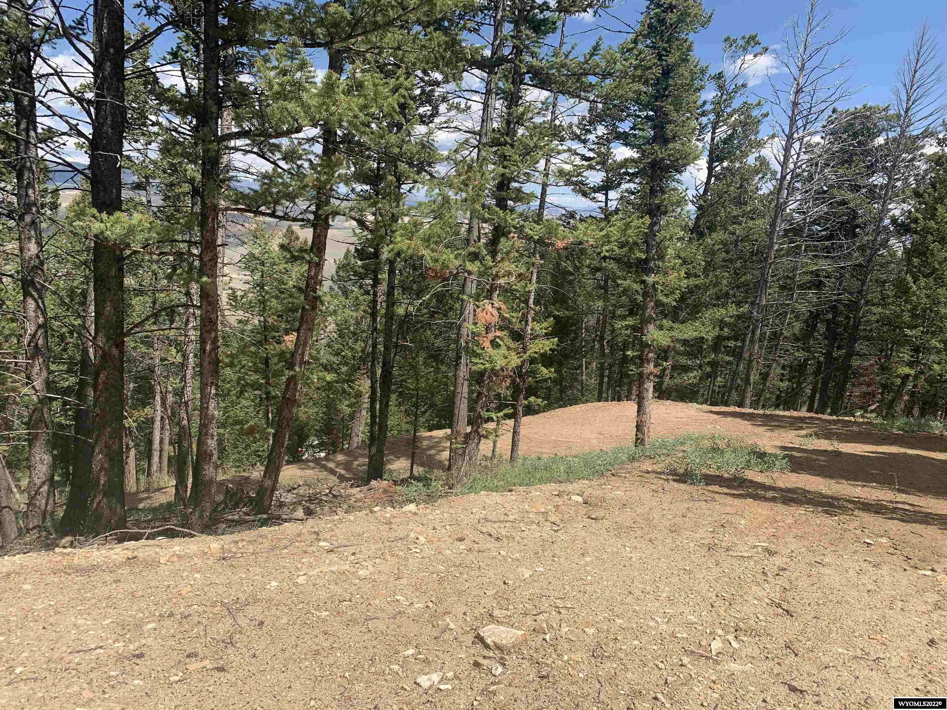 Dubois, WY 82513,116 Porcupine Dr