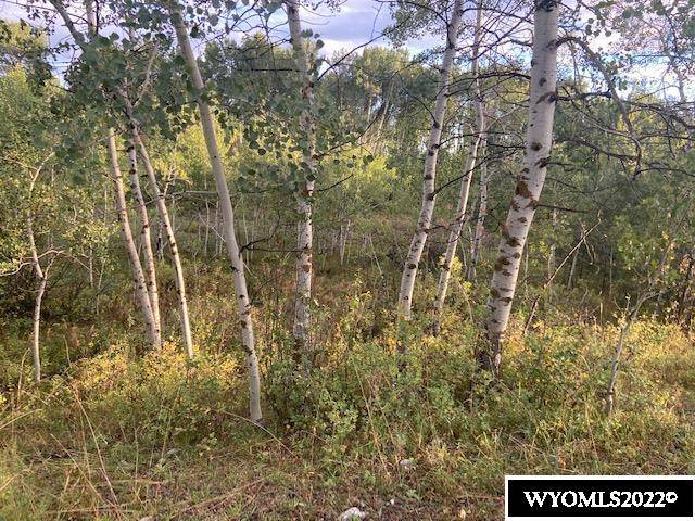 Prater Canyon Dr, Star Valley Ranch, WY 83127