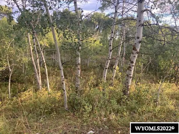 Prater Canyon Dr, Star Valley Ranch, WY 83127