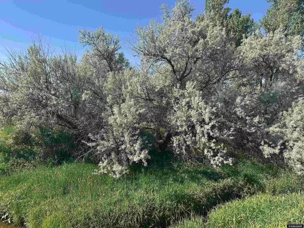 Lander, WY 82520,000 Lot 5 Chittim Road