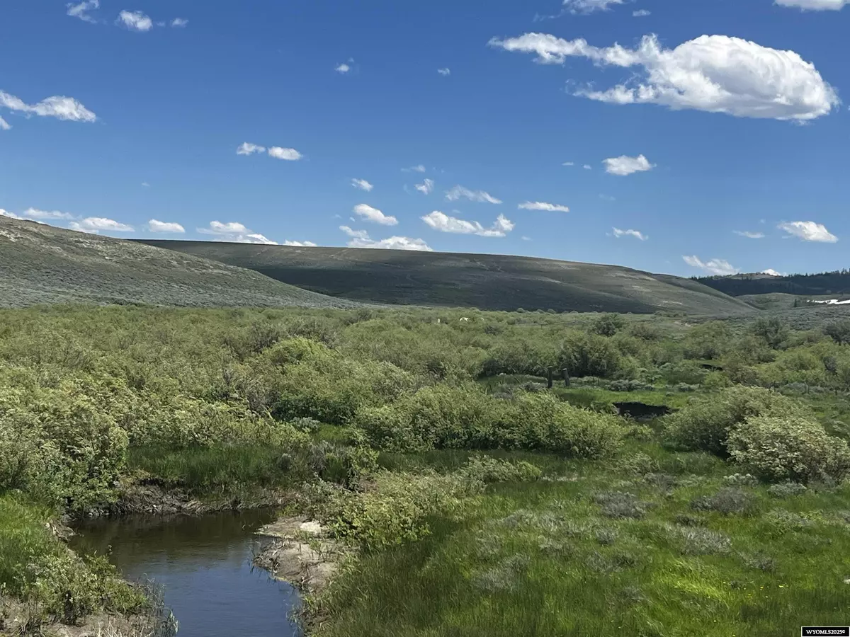 Saratoga, WY 82331,01 County Road 401 Road