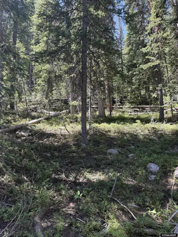 Elk Mountain, WY 82324,Tract 49 Overlook Retreat