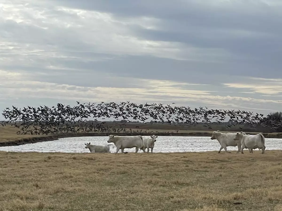 Udall, KS 67146,00 92nd Rd