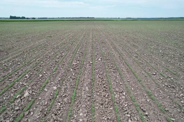 Fredonia, KS 66736,000 1200 RD