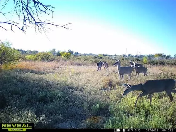 Buhler, KS 67522,4105 N Wheat State Rd