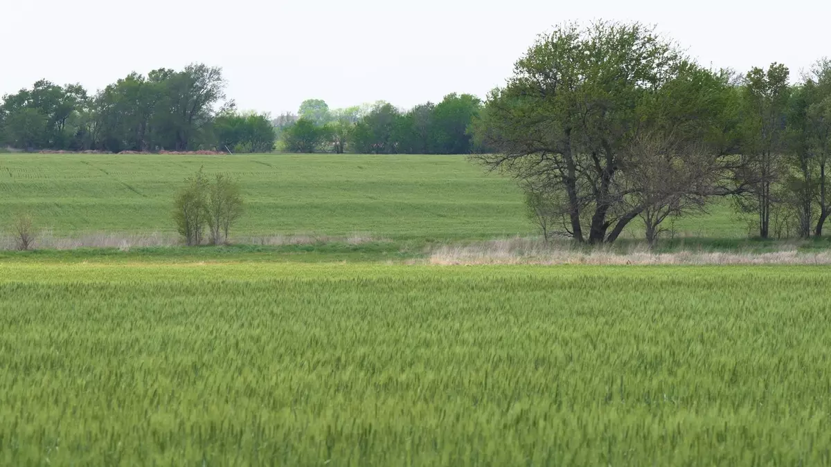 Goddard, KS 67052,Lot 7 Block 3 Dry Creek Estates