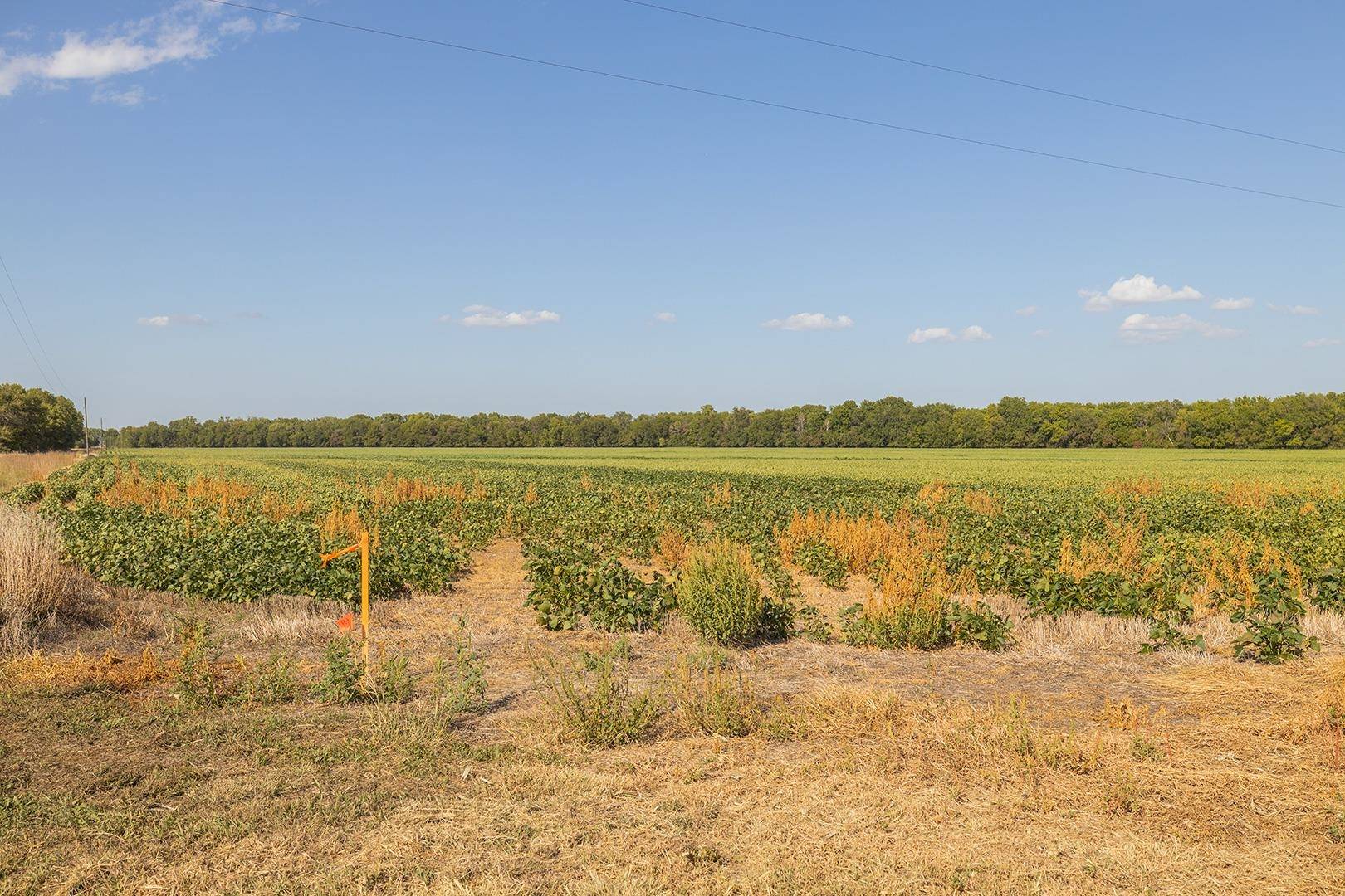 Newton, KS 67114,158+/- Acres on W 1st
