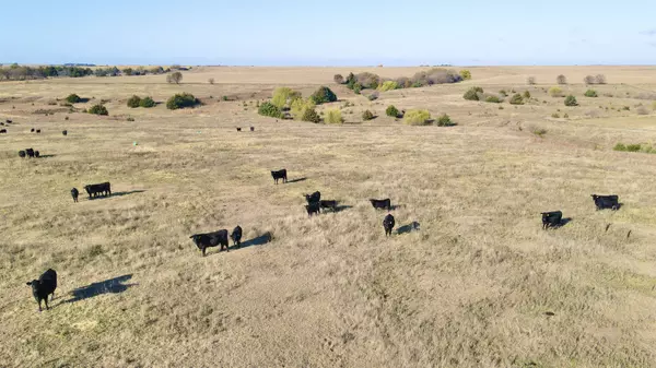 Lebanon, KS 66952,SW/c of N BB Road and 60 Road - Tract 6