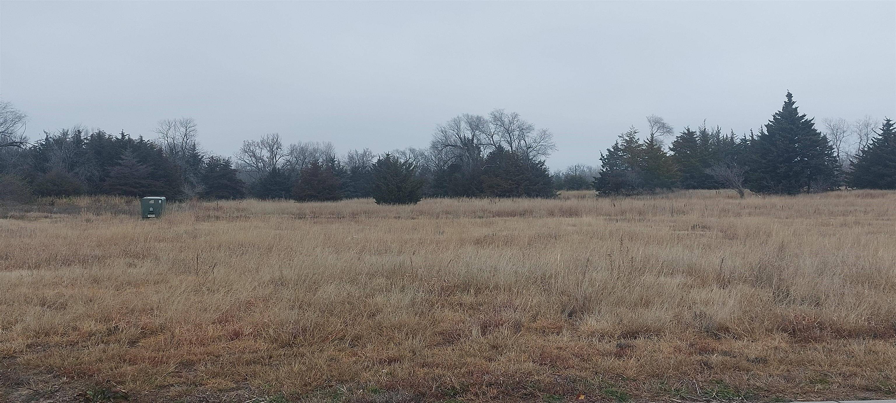 14 Monarch Ln,  Hutchinson,  KS 67502
