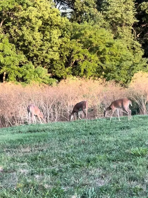 801 Walnut St El Dorado, KS 67042