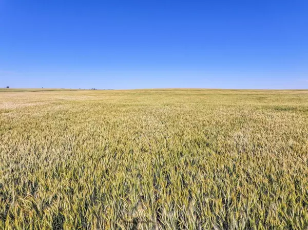 Cunningham, KS 67035,000 NW 30th St