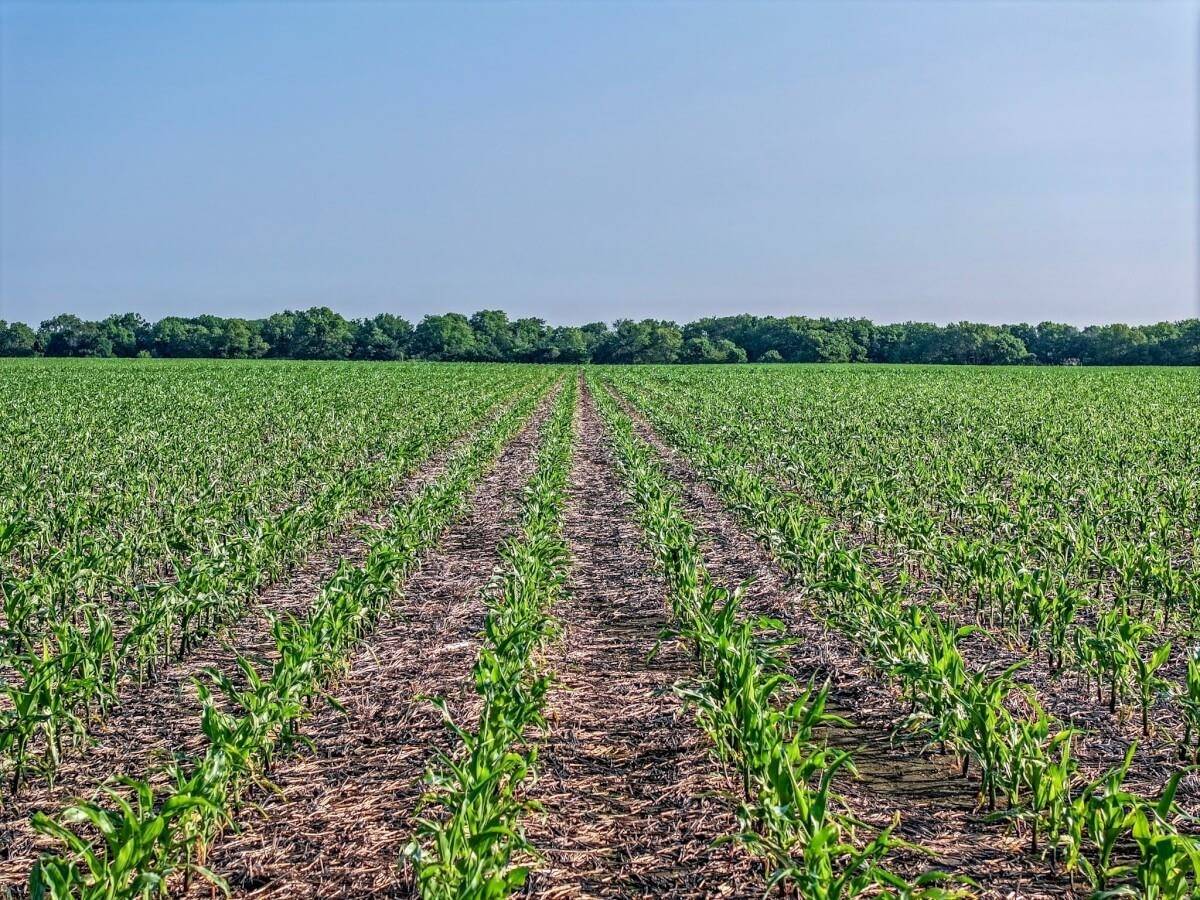 Whitewater, KS 67154,000 K-196